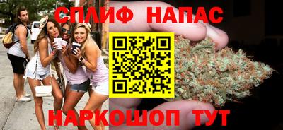 сатива Кулебаки