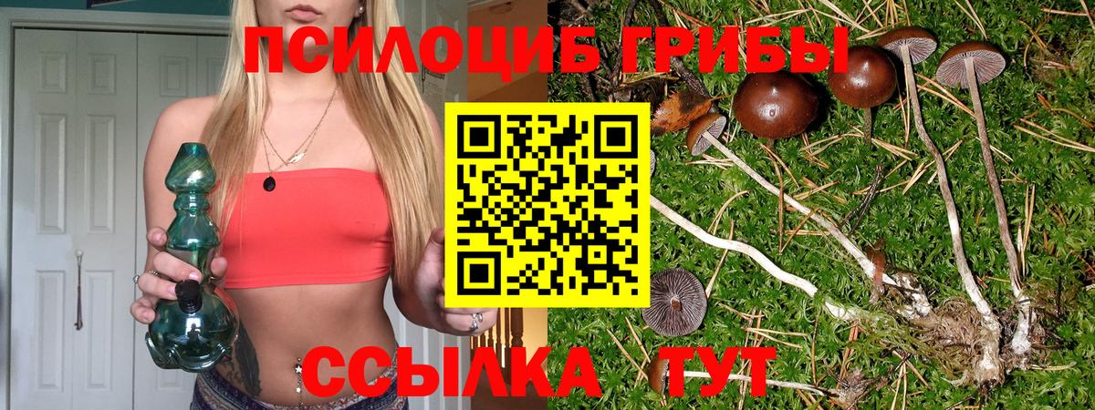 Галлюциногенные грибы мицелий  Вход с VPN  Ипатово 